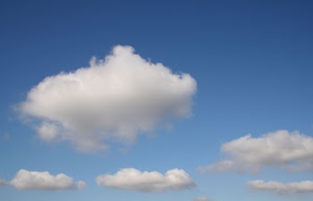 IMG_5110_enhanced1.JPG