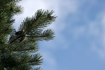 IMG_5360_w.JPG