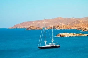 IMG_5665.jpg