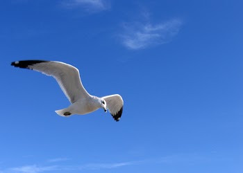 IMG_6147_.jpg