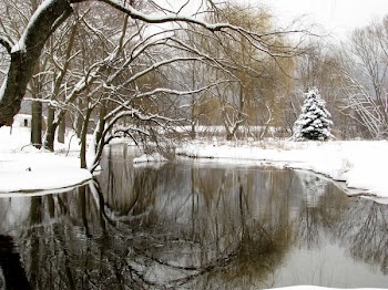 IMG_6446a.jpg