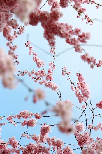IMG_6528___.JPG