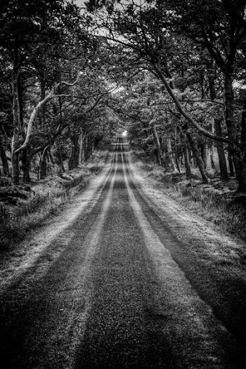 IMG_7354_5_6_tonemapped_bw.jpg