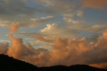 IMG_7614.JPG