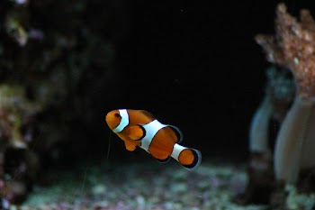 IMG_8048.JPG
