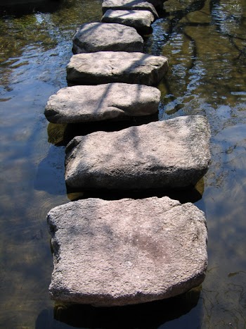 _IMG_8063_.jpg