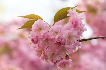 IMG_8340__.JPG
