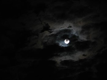 IMG_8816.JPG