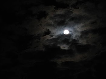 IMG_8819.JPG