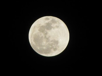 IMG_8839.JPG