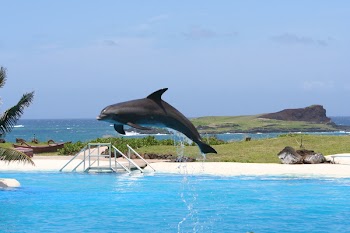 IMG_9430_d.JPG
