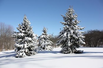 img_9754.jpg