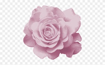 [ Img] - Garden Roses