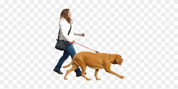 [ Img] - People Walking With Dog