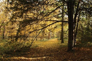 Img1947.JPG