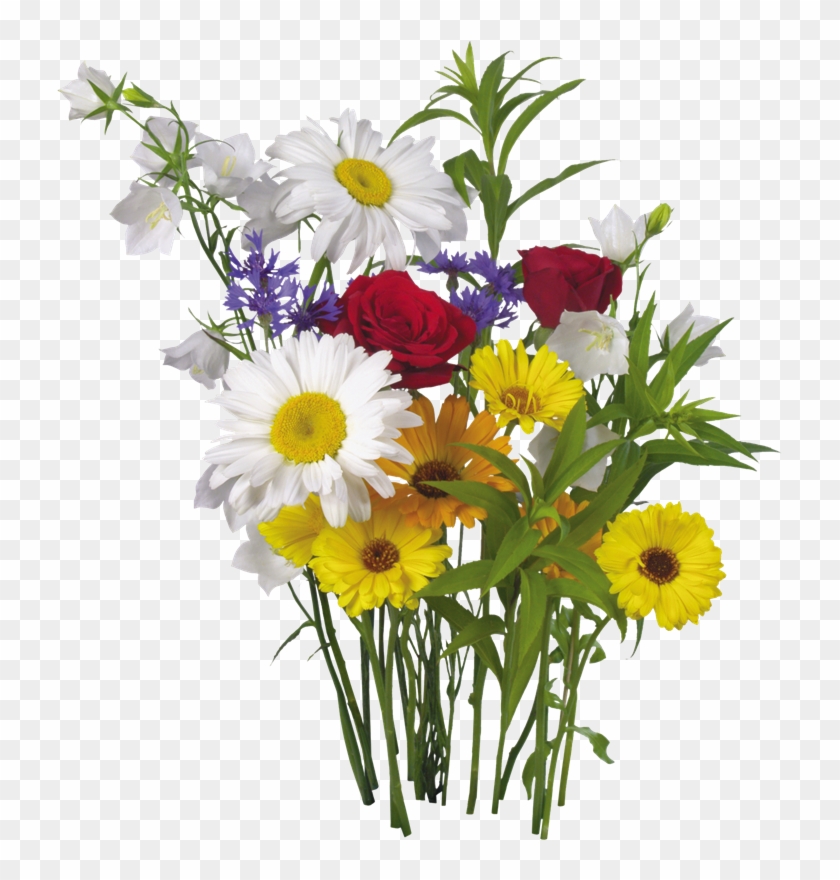 Imágenes Para Photoscape De Flores Y Plantas - Flores Png Para Photoscape