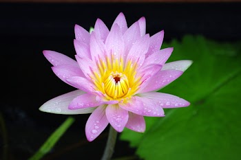 IMGP0413.JPG