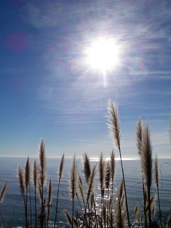 IMGP2730.jpg