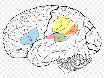 Imprints - Science Of Human Nature: A Psychology