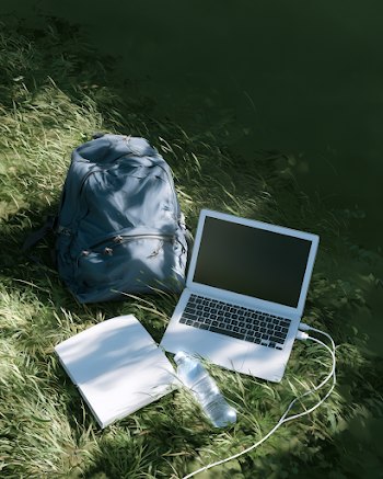 Improvised Outdoor Workspace with Laptop on Grass