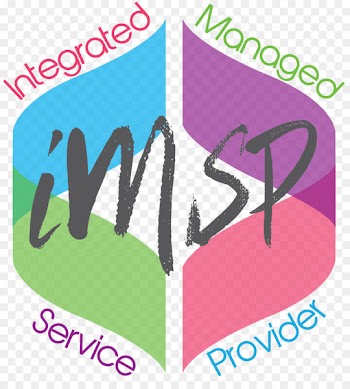 iMSP P/L Information technology Managed services Business - auditing border 