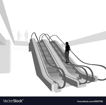 In a mall vector image