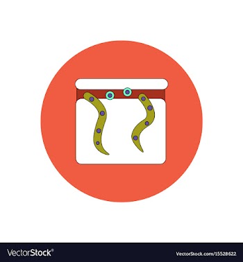 In flat design halloween icon vector image
