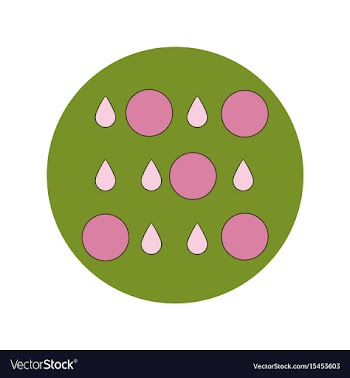 In flat design of rain with vector image