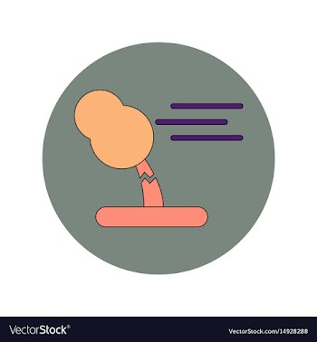 In flat design of storm and vector image