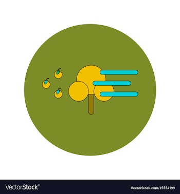In flat design of storm and vector image
