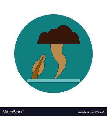 In flat design of Tornado vector image