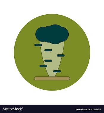 In flat design of tornado vector image