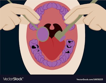 In flat design oral cavity and dental instruments vector image
