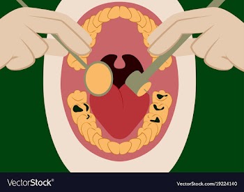 In flat design oral cavity and dental instruments vector image
