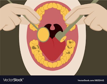 In flat design oral cavity and vector image