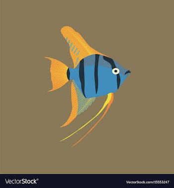 In flat style angelfish vector image