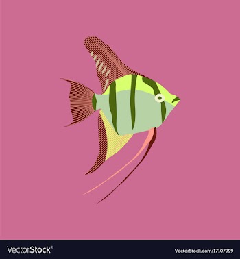 In flat style angelfish vector image