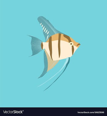 In flat style angelfish vector image