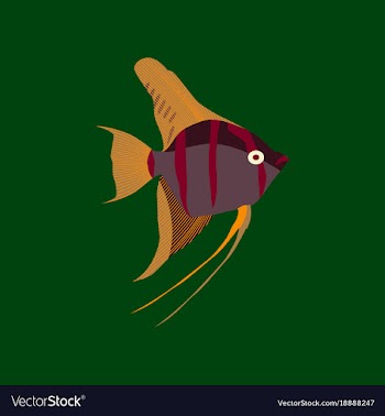In flat style angelfish vector image