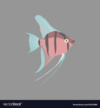 In flat style angelfish vector image