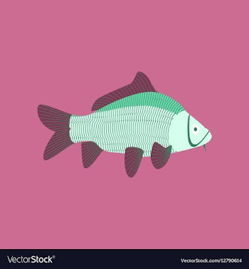 In flat style carp vector image