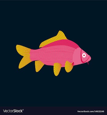 In flat style carp vector image