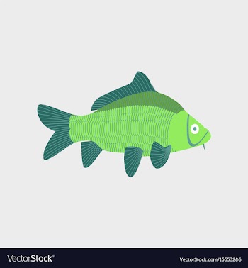 In flat style carp vector image