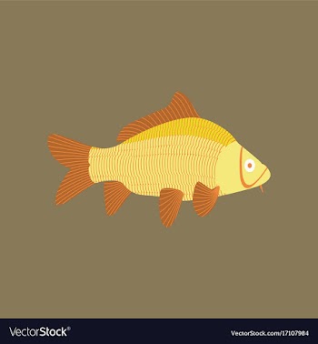 In flat style carp vector image