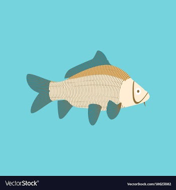 In flat style carp vector image