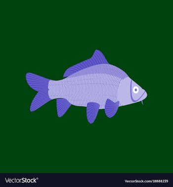 In flat style carp vector image