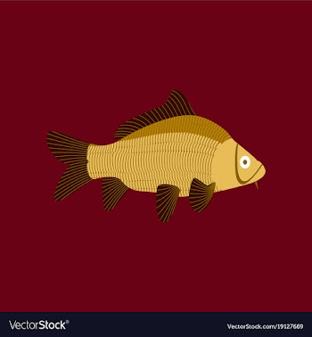 In flat style carp vector image