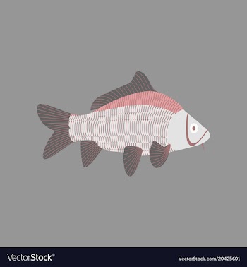 In flat style carp vector image