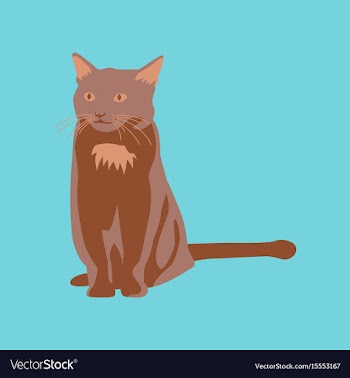 In flat style cat vector image
