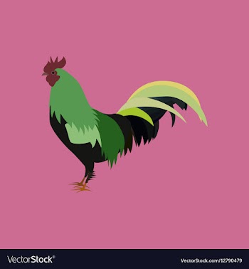 In flat style cock vector image